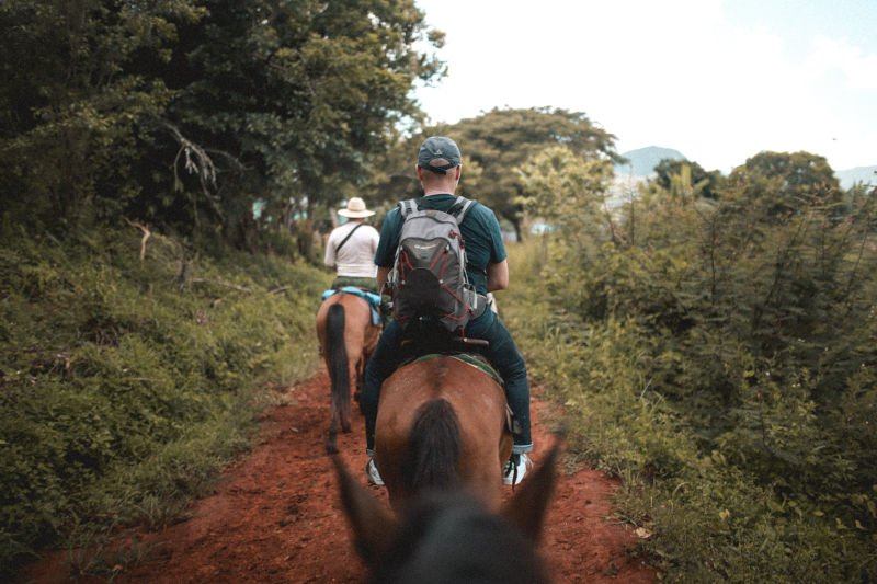 Horse Riding Cape Town (Beach, Private Rides & Sunsets) Tickets 'n Tour