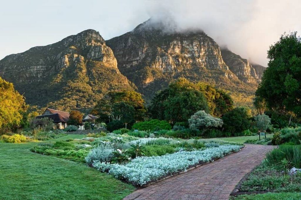 hike from Kirstenbosch Gardens up Table Mountain