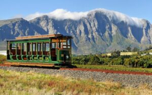 wine tram franshoek