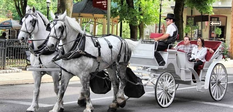 New Orleans Carriage Rides (Haunted & Royal Rides French Quarter) 2024