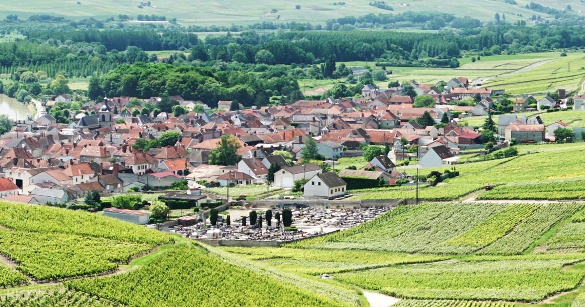 Champagne Region Tour from Paris with Wine Tastings