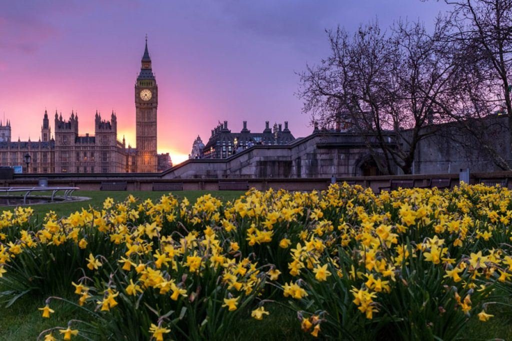 big ben and garden