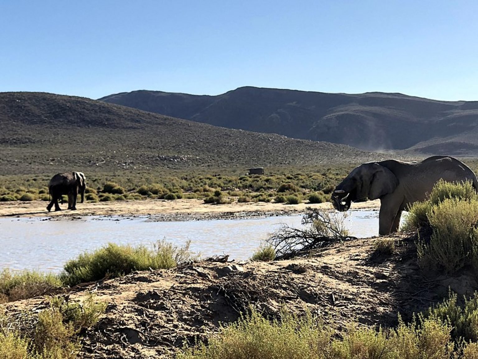 5-great-game-reserves-in-south-africa-the-best-safaris-tickets-n-tour