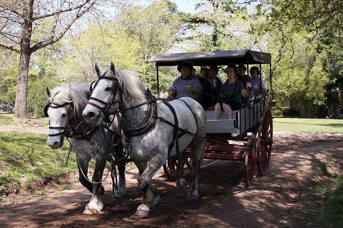 Private GAUCHO TOUR - FULL DAY TRIP Guided in EN,...