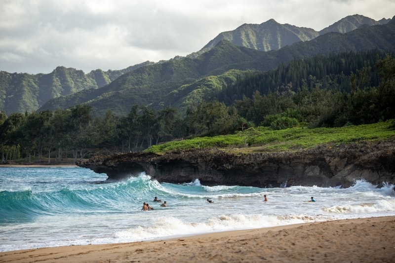 hawaiian beach with surfers on the waves
