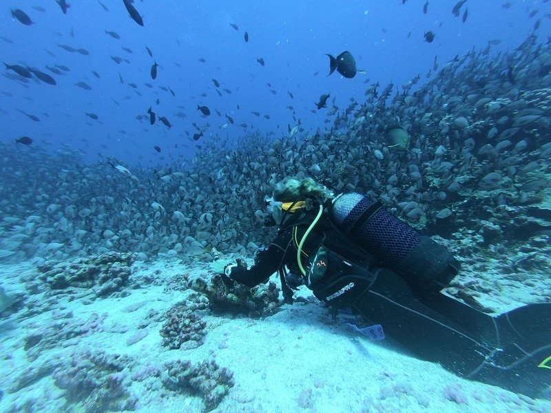 Person scuba diving