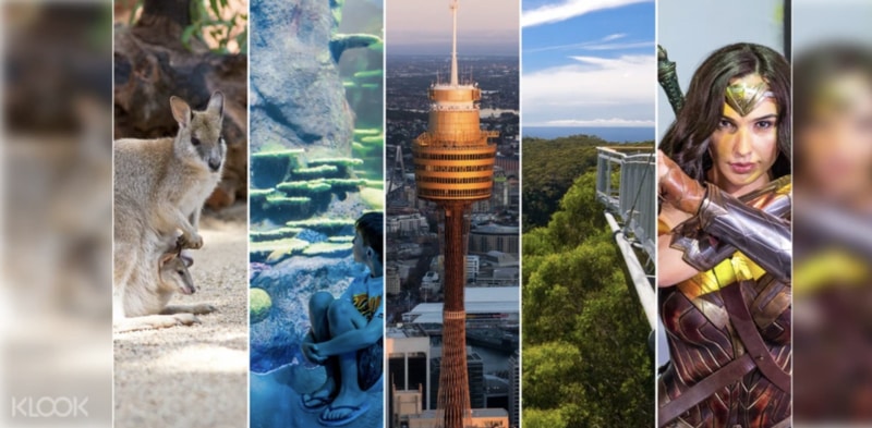 ultimate sydney attractions pass