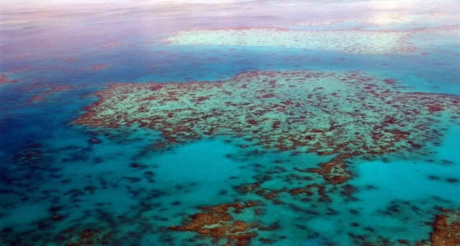 Cairns Helicopter Tours | Explore the Great Barrier Reef in 2024 ...