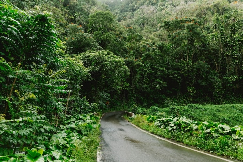 Hana road in Hawaii