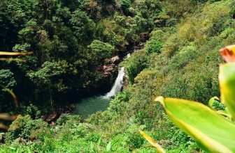 Waterfall and mountain scenery in Maui