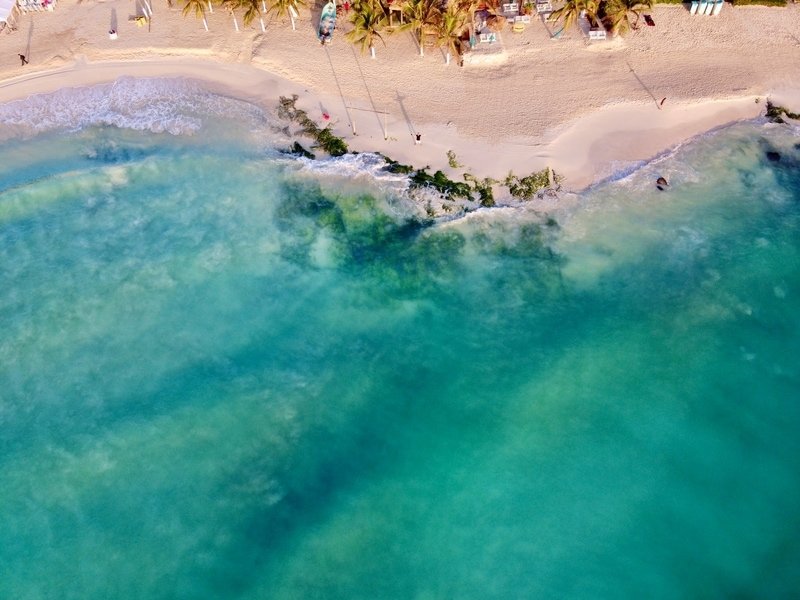 aerial view of the shoreline