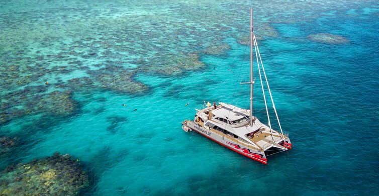 From Cairns: Great Barrier Reef Cruise by Premium Catamaran