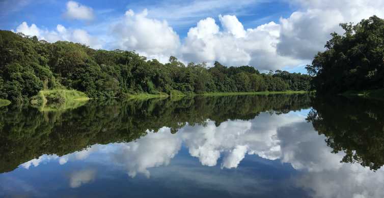Kuranda Rainforest Riverboat Cruise