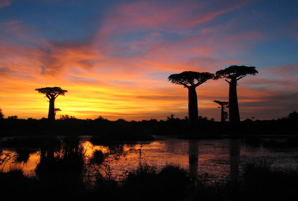 Sunset in Madagascar 
