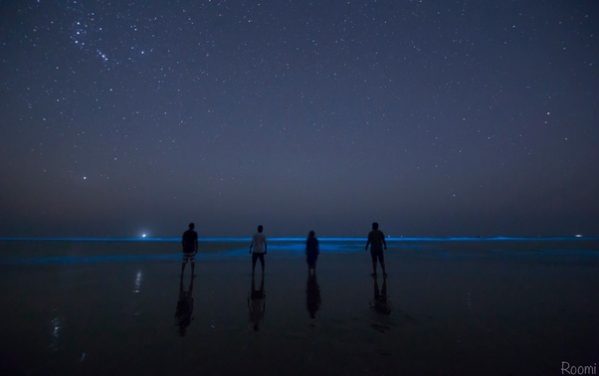 People walking next to the Bioluminescent beach