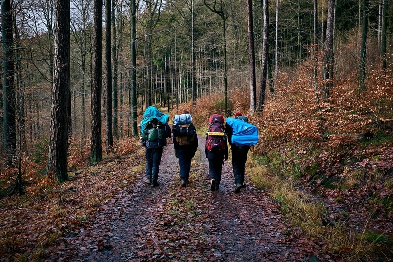 Group Hiking in Forest