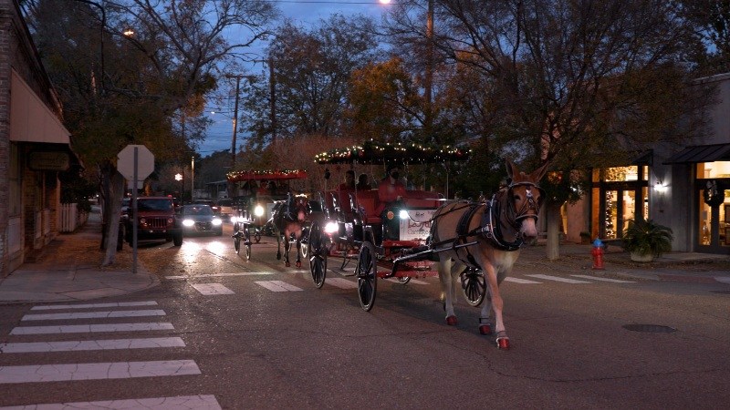 New-Orleans-haunted-Carriage-ride