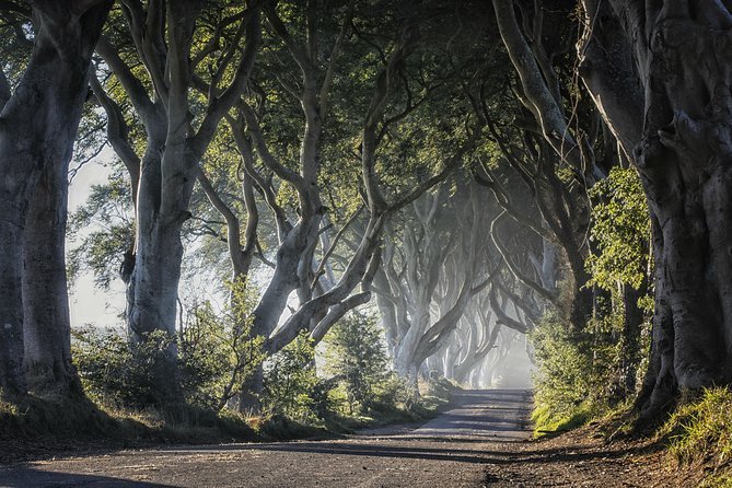 Game of Thrones™ Filming Locations and Giant's Causeway from Dublin