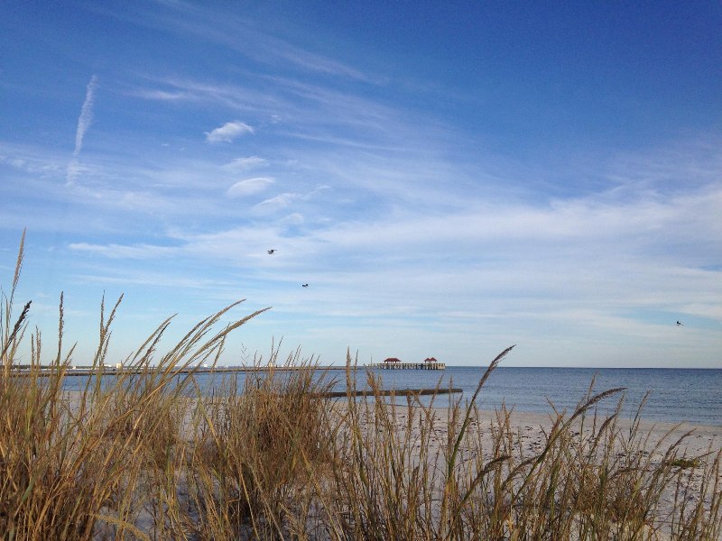 New-orleans-beach-on-the-gulf-coast