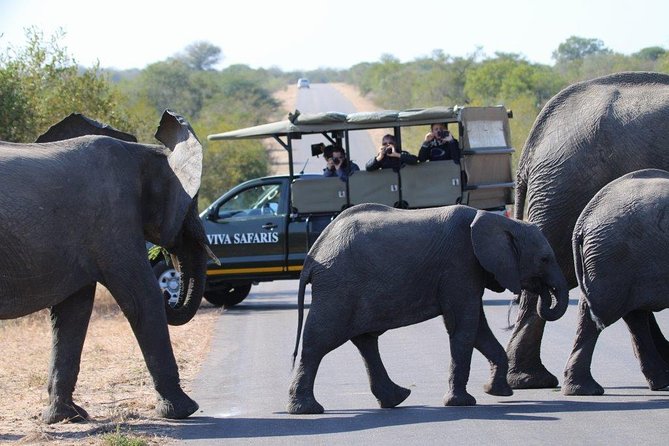 4 Day Classic Kruger National Park Safari