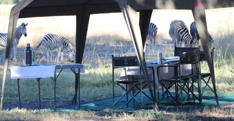 From Maun: Moremi Game Reserve Tour