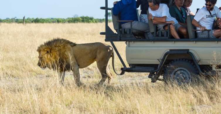 Maun: Private Guided Day Safari in Moremi Game Reserve