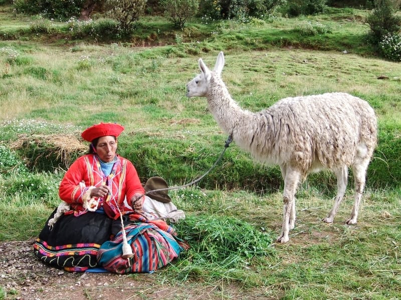 A person sitting with an alpaca in Peru