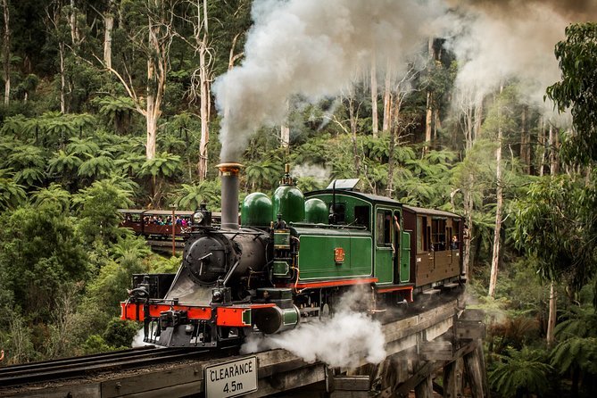Puffing Billy, Moonlit Sanctuary & Penguins Day Tour