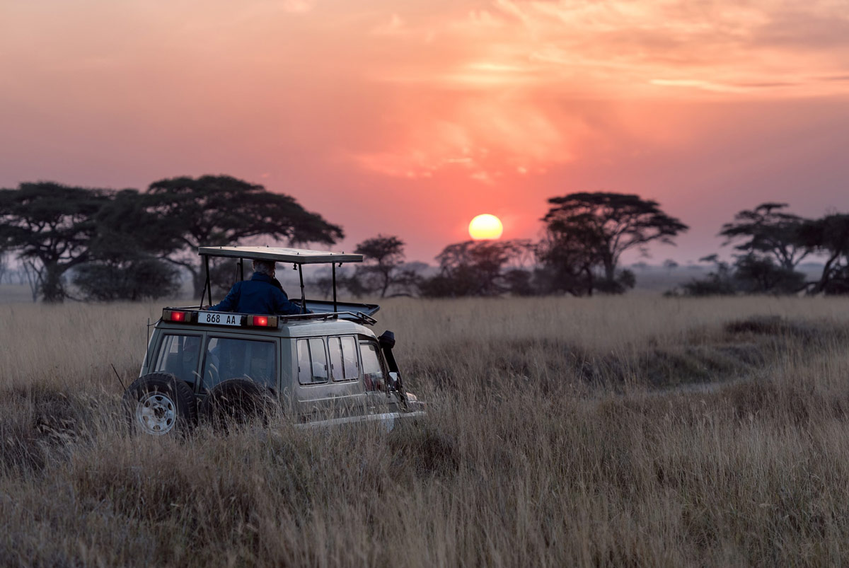 Sunset during a game drive