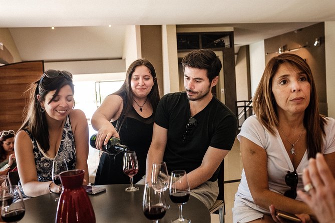 Maipú Wine-Tasting Tour from Mendoza Including Trapiche Winery