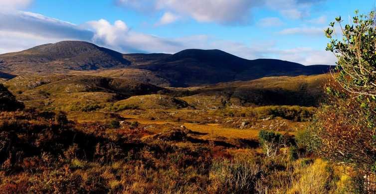 Ring of Kerry: Full-Day Tour from Killarney