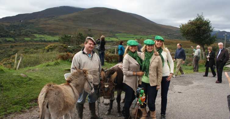Ring of Kerry: Lakes of Killarney Scenic Coach Tour