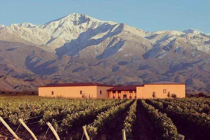 Vineyards with Wine Tasting in Mendoza