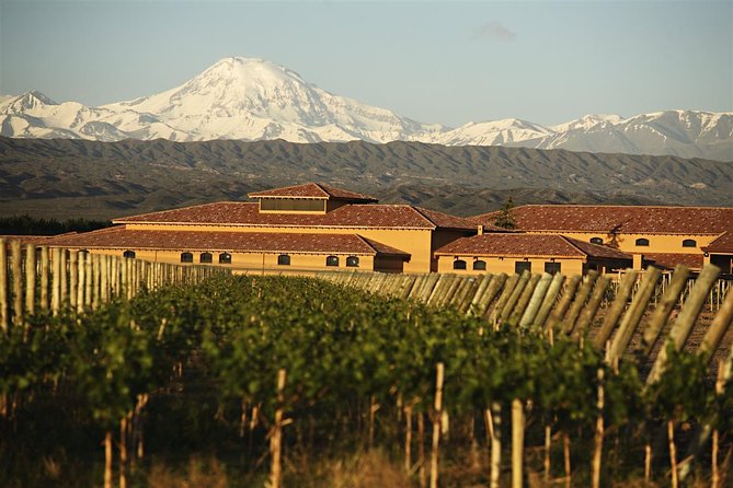 Wine Tour with Lunch from Mendoza