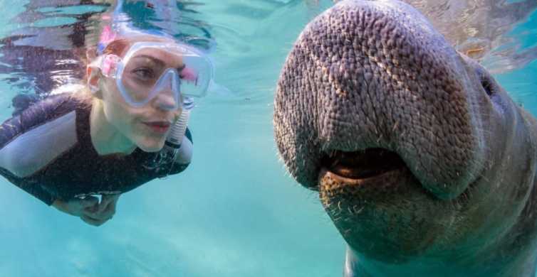 Orlando: Manatee Encounter, Snorkeling, and Airboat Ride