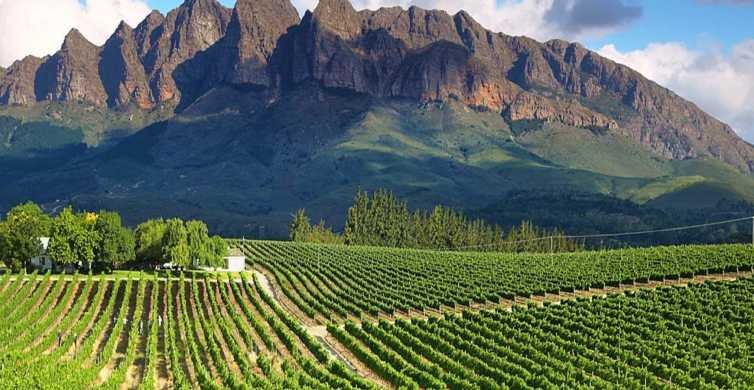 From Cape Town: Full-Day Cape Winelands Tour