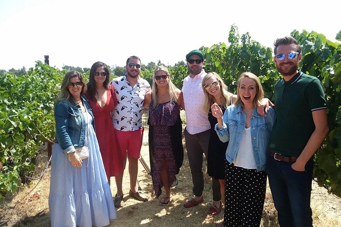 Wine Country Small-Group Tour from San Francisco with Tastings