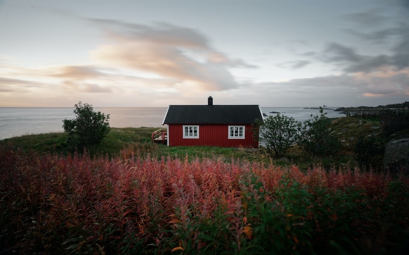 Red house in Norway with red flowers in the field
