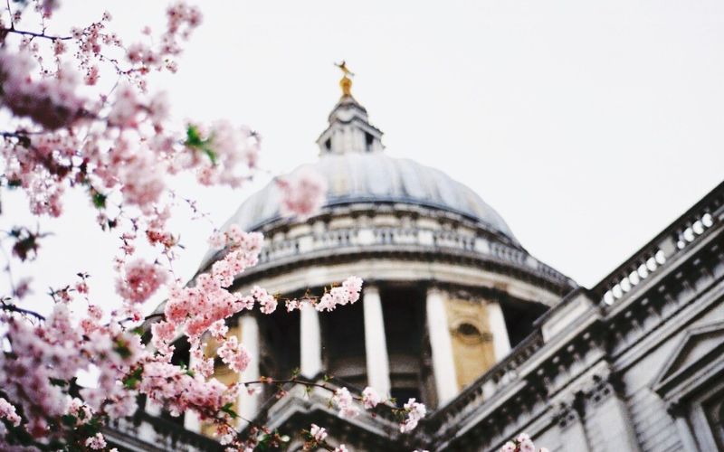 St. Paul's Cathedral in London during Spring