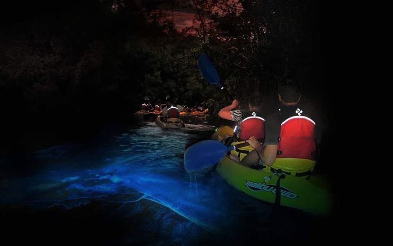 Kayakers paddling in a bioluminescent bay in Puerto Rico at night on San Juan boat tour