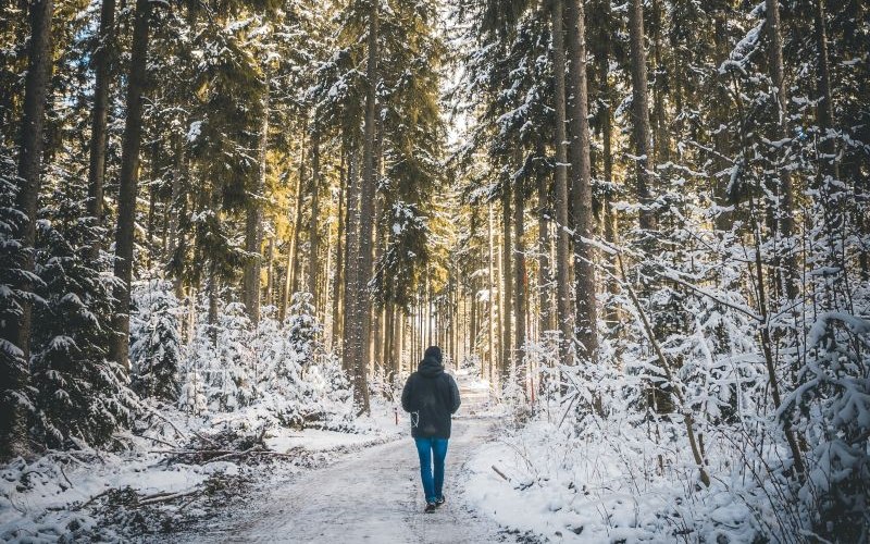 A person hiking a snowy trail in the Black Forest in Germany