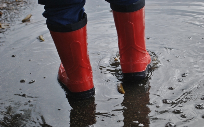 Closeup of red rain boots in a puddle