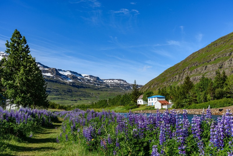 seydisfjordur-iceland
