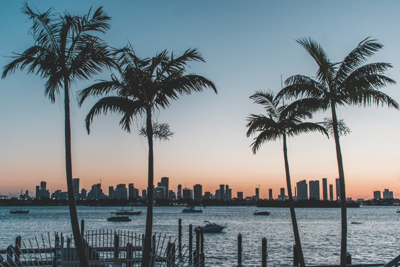 sunset and miami cityscape