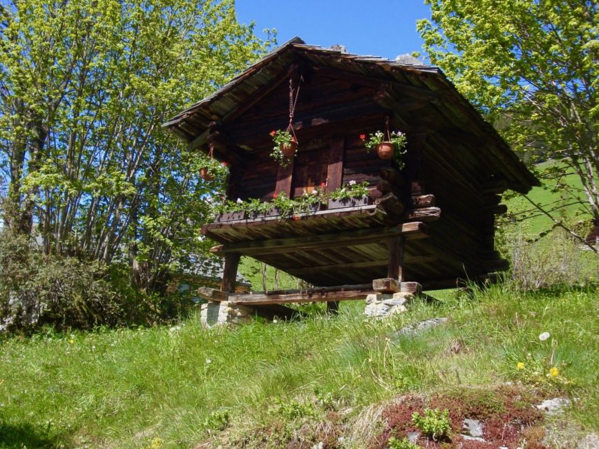 Gimmelwald-alpine-hut