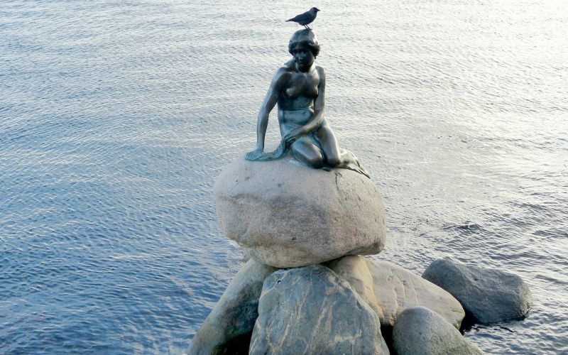 The Little Mermaid Statue in Coppenhagen in Denmark.