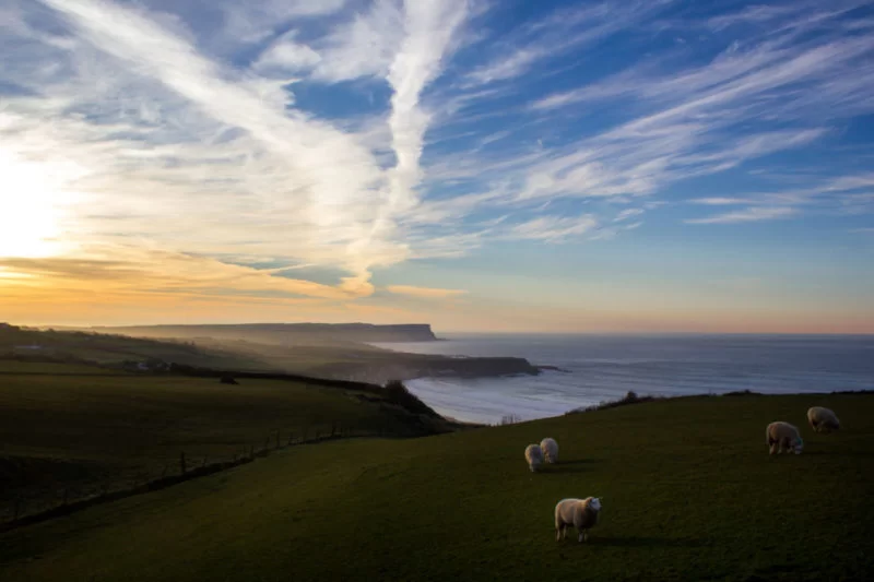 Unique Things To Do On The Causeway Coastal Route