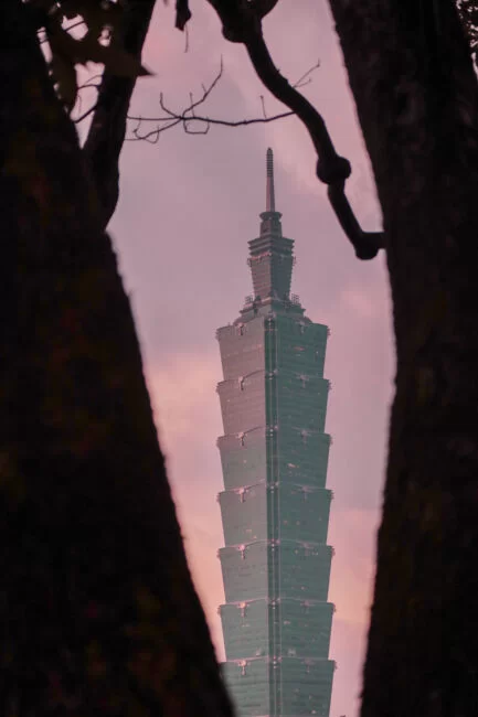 taipei-101-framed-by-trees