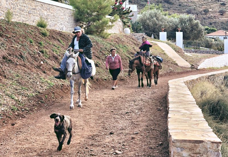 Greek locals on horseback