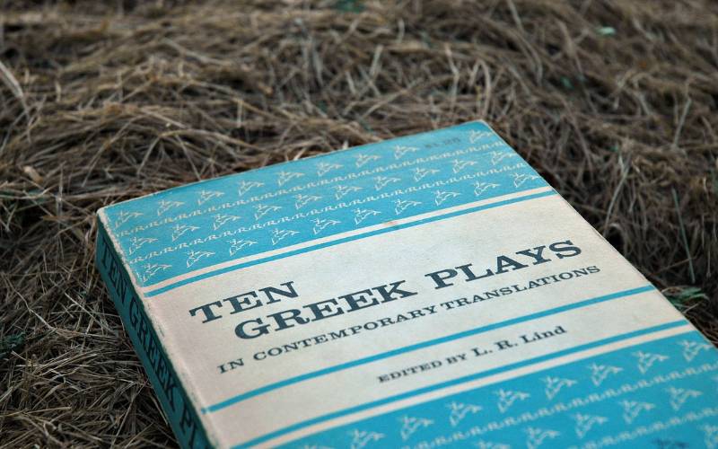 A book titled "Ten Greek Plays" on top of grass.